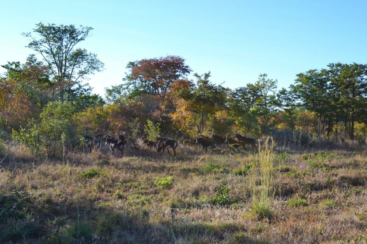 Chobe Sunset Chalets Lesoma Luaran gambar