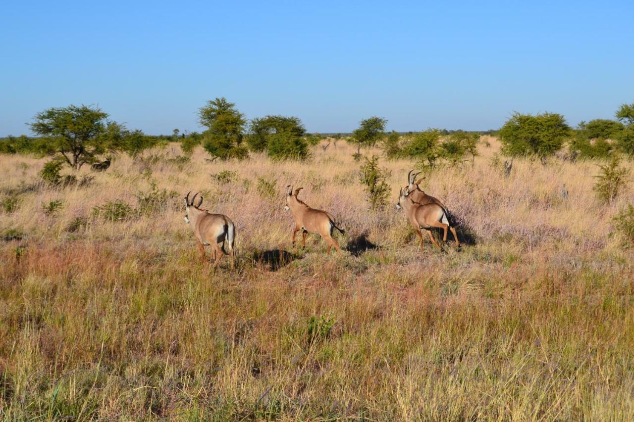 Chobe Sunset Chalets Lesoma Luaran gambar